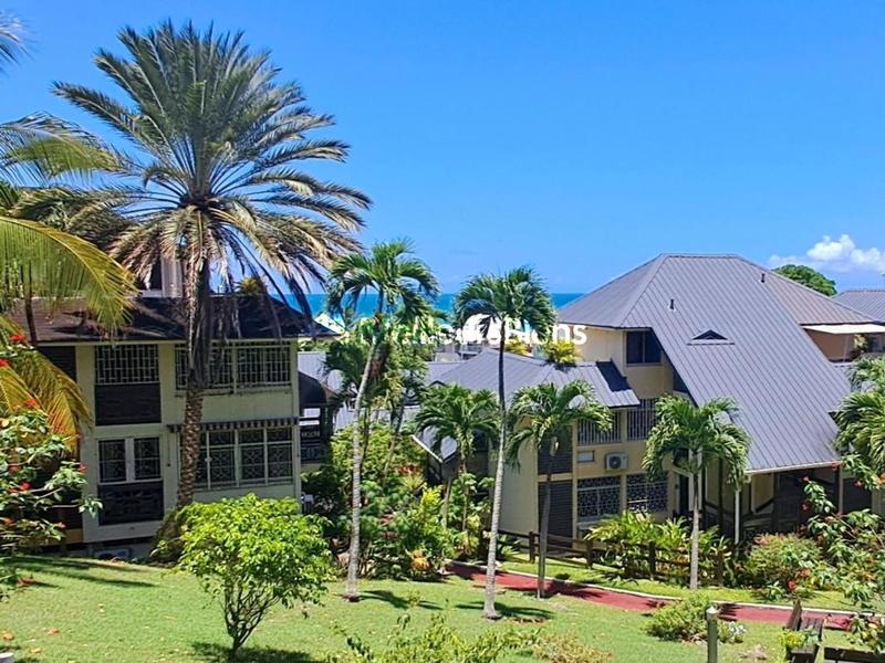 Studio - 19 m² - 1 pièce