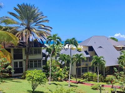 Studio - 19 m² - 1 pièce