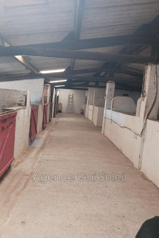 Maison de domaine équestre - 222 m² - 8 pièces