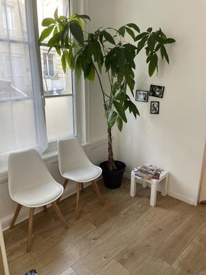 Bureau - 28 m² - 1 pièce