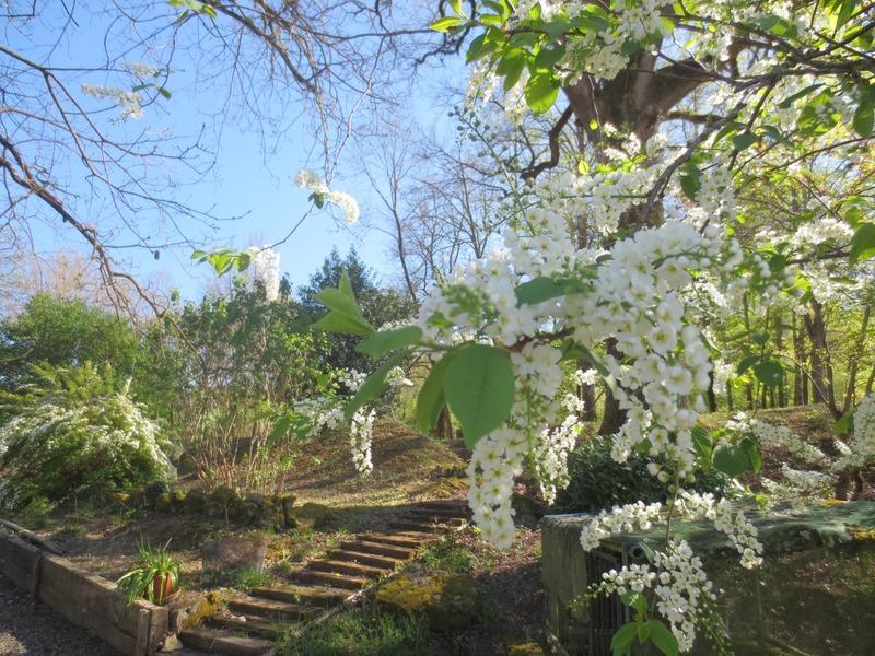 Maison - 345 m² - 12 pièces