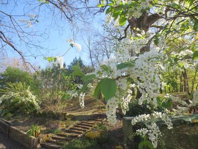 Maison - 345 m² - 12 pièces