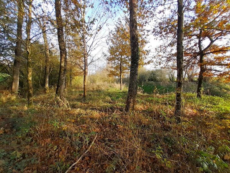 Terrain de loisirs - 1 230 m²