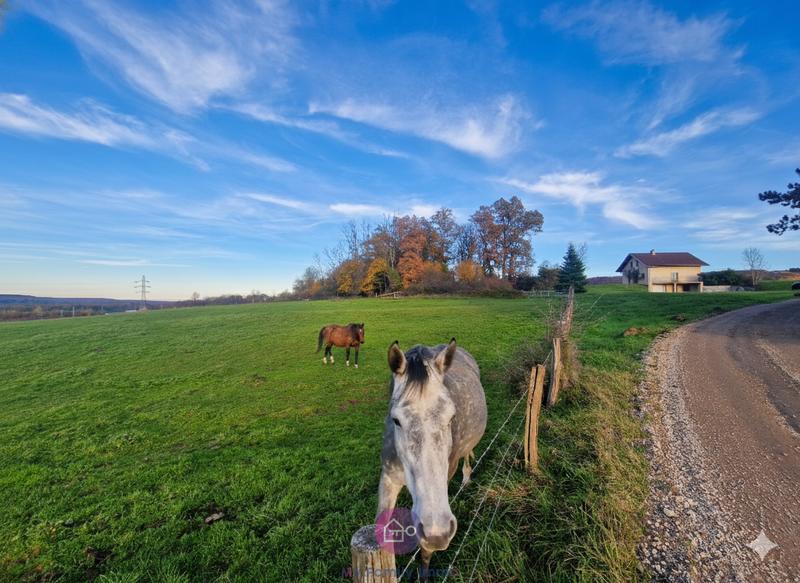 Propriété - 124 m² - 6 pièces