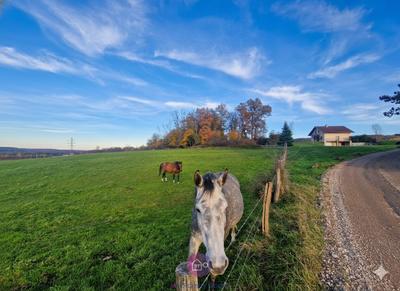 Propriété - 124 m² - 6 pièces