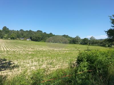 Terrain - 97 000 m²