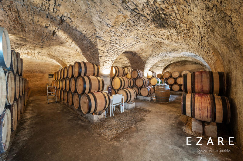 Maison ancienne - 1 200 m² - 20 pièces