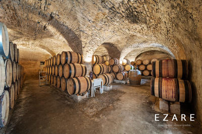 Maison ancienne - 1 200 m² - 20 pièces