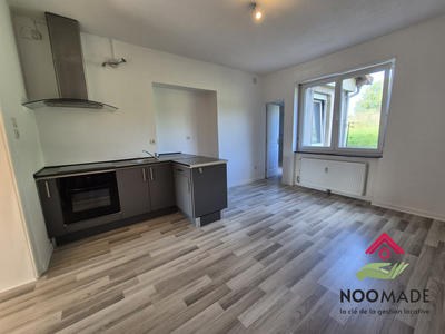 Appartement - 40 m² - 1 pièce