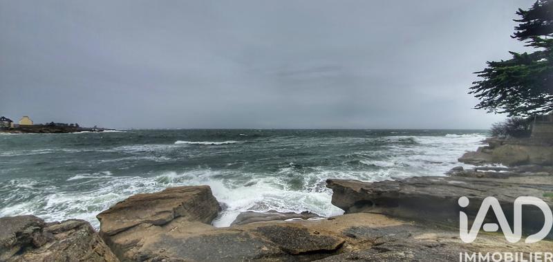 Studio - 29 m² - 1 pièce