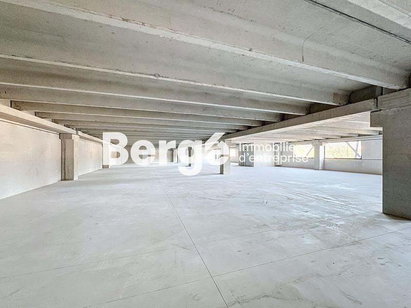 Entrepôt - 2 455 m²