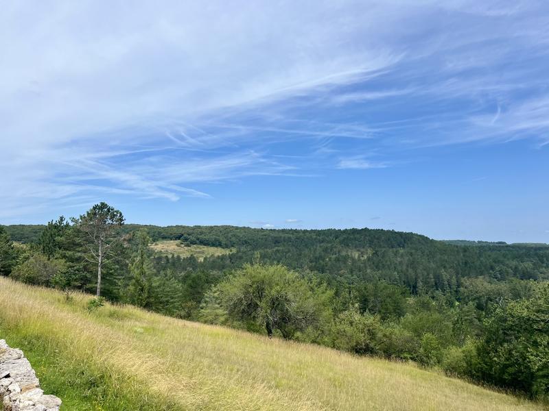 Appartement - 155 m² - 5 pièces