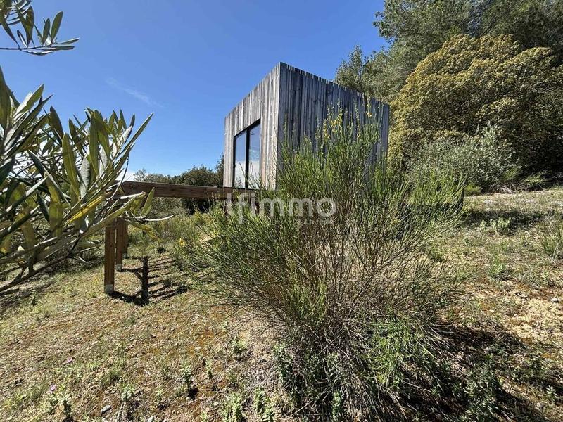 Terrain - 13 051 m²