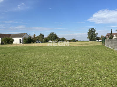 Terrain - 3 146 m²