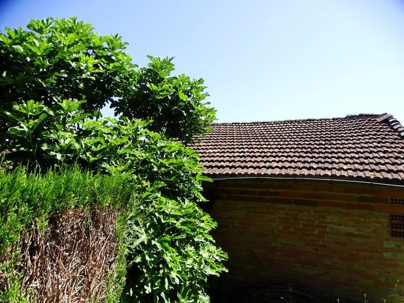 Parking / Garage - 44 m²