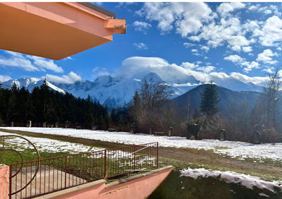 Appartement - 23 m² - 1 pièce