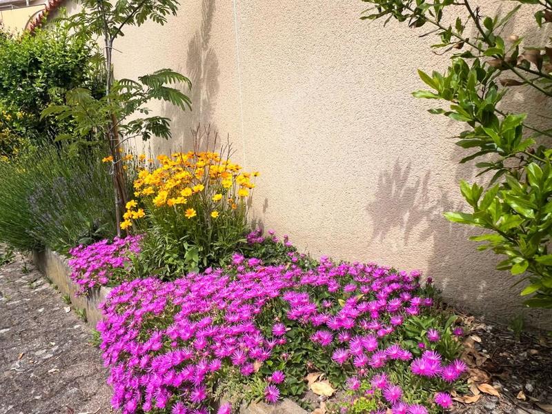 Appartement - 91 m² - 5 pièces