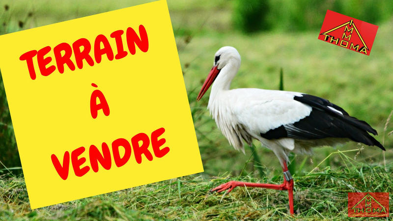 Terrain - 787 m²