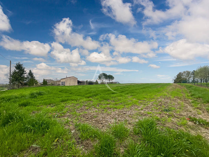 Terrain - 11 886 m²