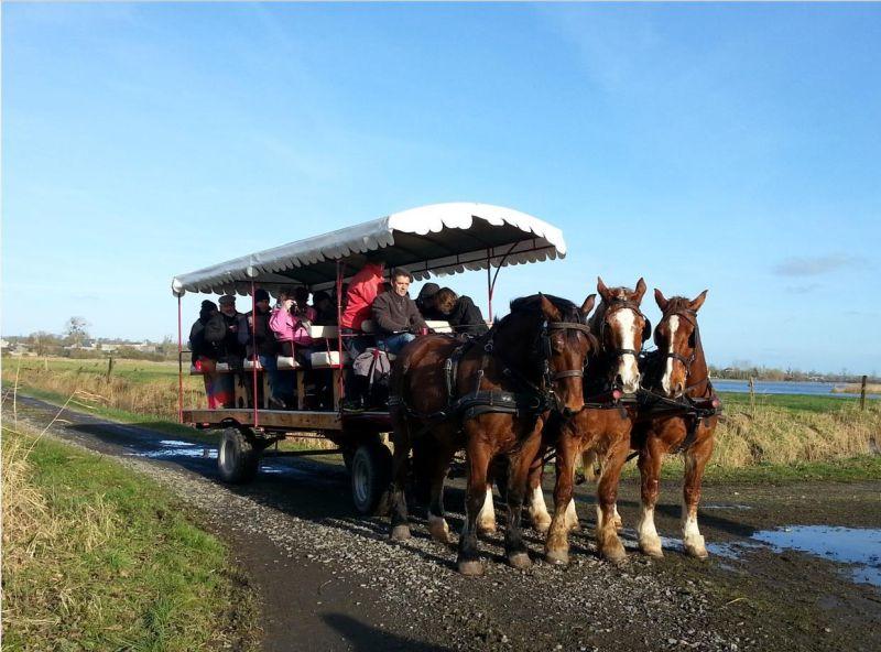 « des vergers en fleurs aux secrets du marais, balade au rythme des chevaux »