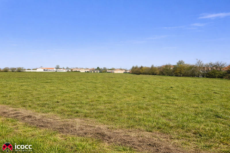 Terrain - 11 182 m²