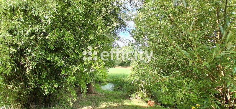 Propriété - 205 m² - 6 pièces