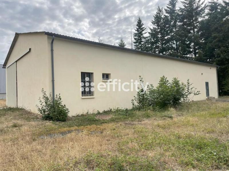 Bureau - 300 m² - 4 pièces