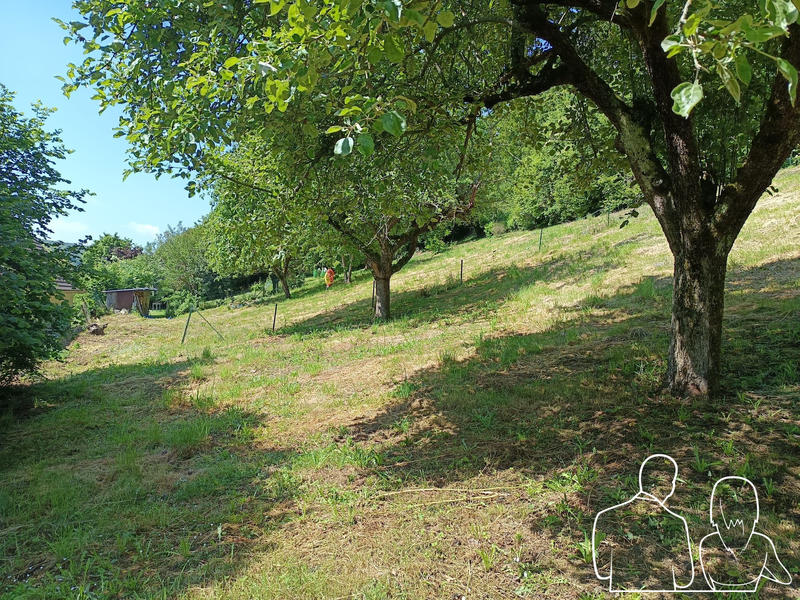 Maison traditionnelle - 156 m² - 5 pièces