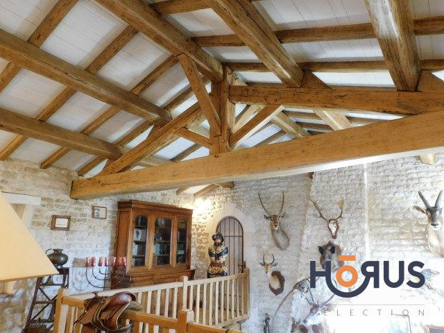 Viager - Maison ancienne - 367 m² - 14 pièces