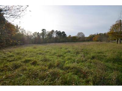 Terrain constructible - 4 424 m²