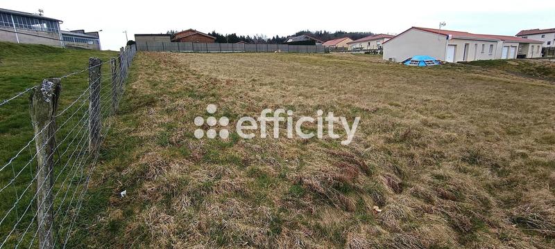Terrain - 1 310 m²