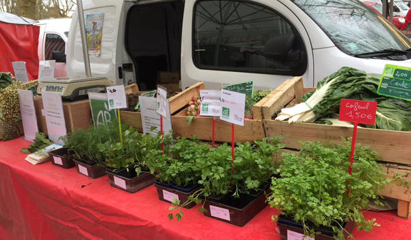 Scea des Îles - Maraicher bio