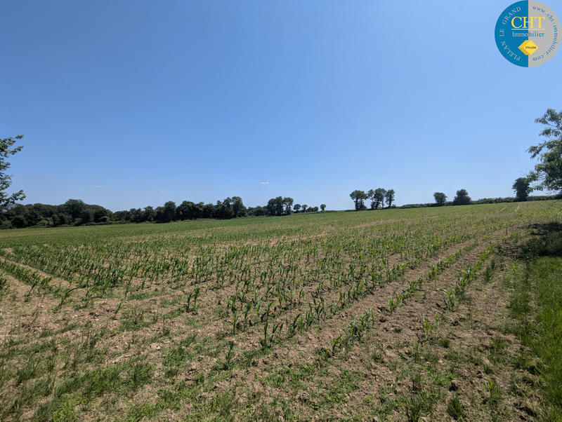 Maison - 140 m² - 2 pièces