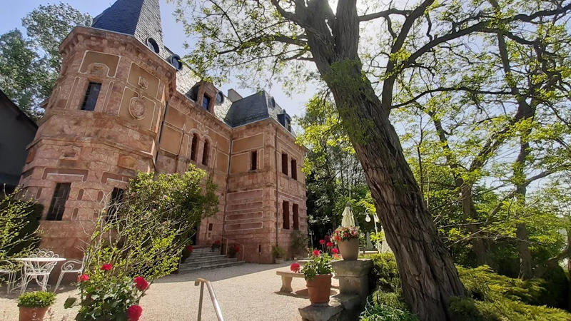 Château - 483 m² - 18 pièces