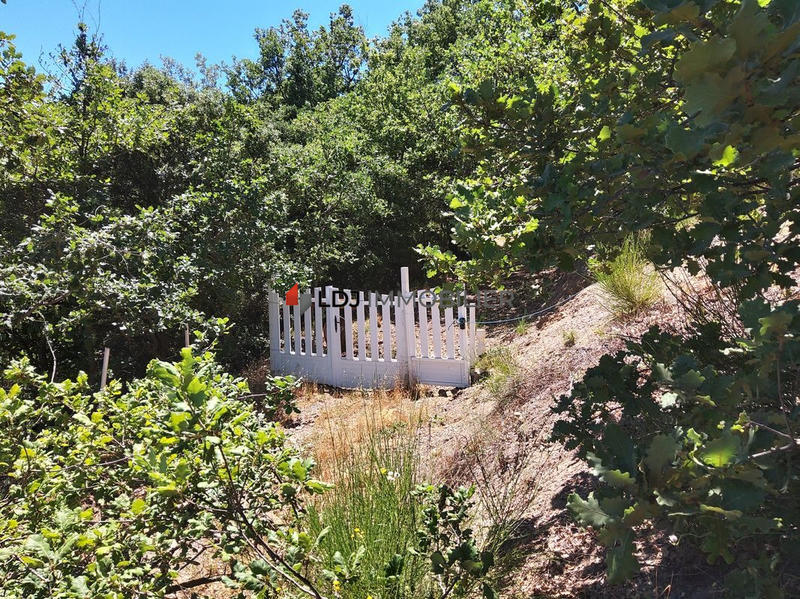 Terrain agricole - 6 500 m²