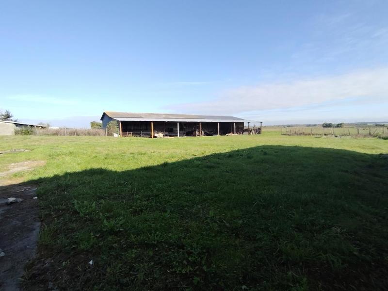 Corps de ferme - 180 m² - 6 pièces