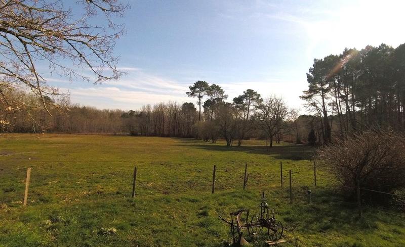 Maison en pierre - 235 m² - 5 pièces