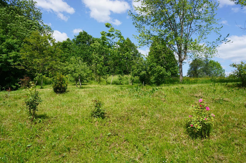 Maison - 181 m² - 5 pièces