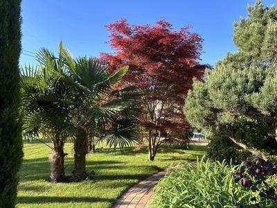 Maison - 226 m² - 7 pièces