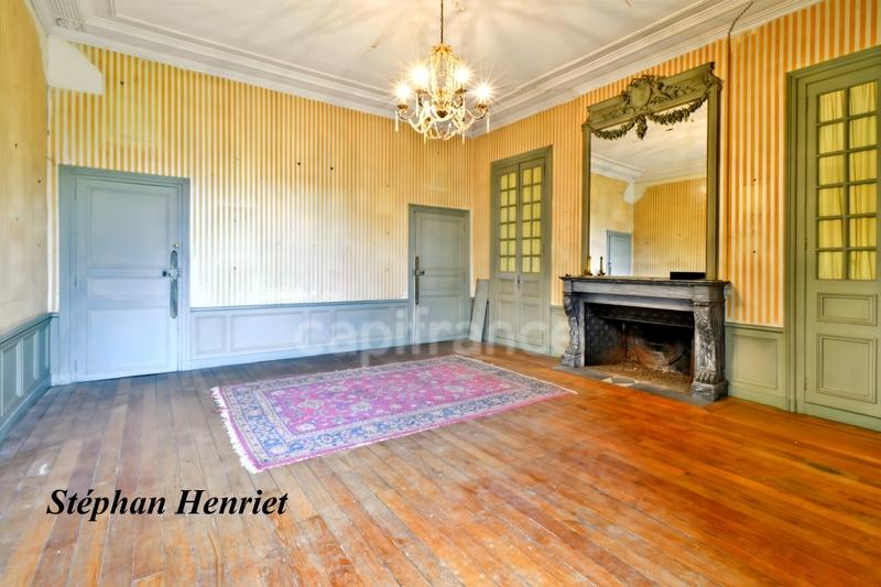 Maison de maîtres - 388 m² - 9 pièces