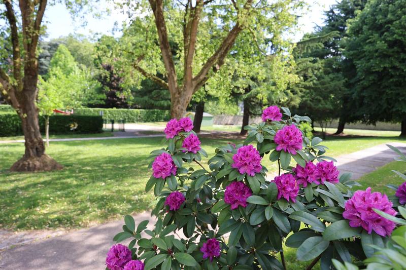 Appartement - 77 m² - 4 pièces