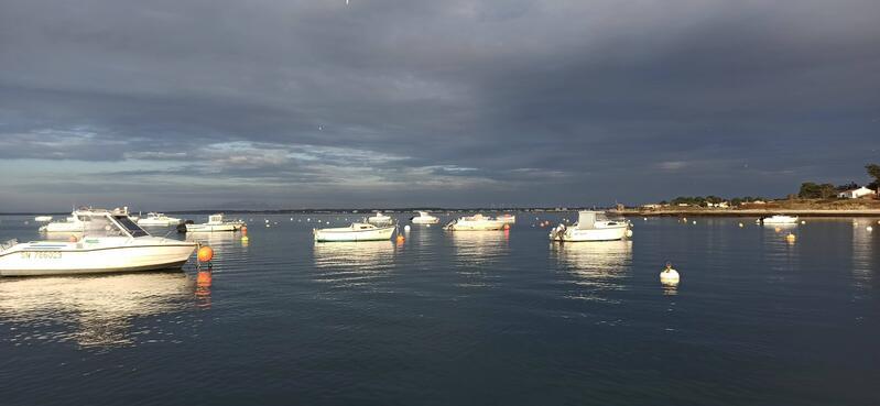 Vide grenier - vide cale