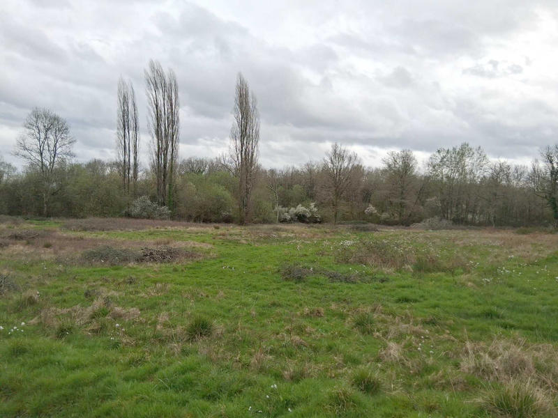 Terrain agricole - 9 170 m²