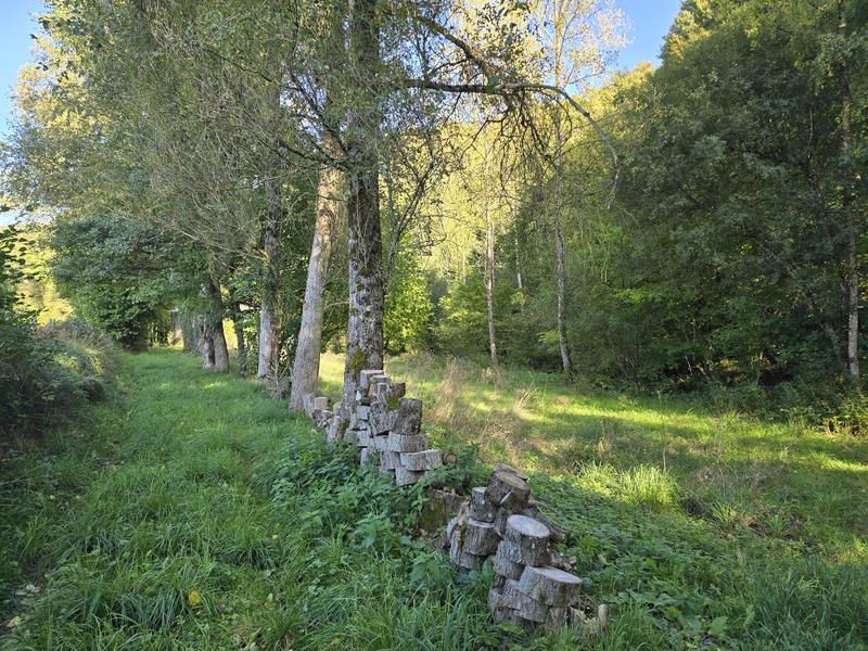 Maison - 24 m² - 1 pièce