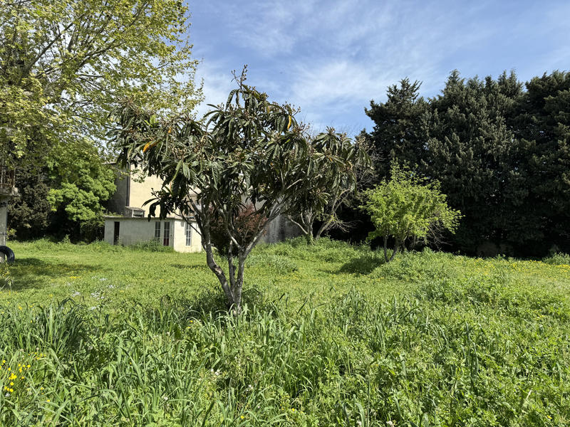 Terrain - 496 m²