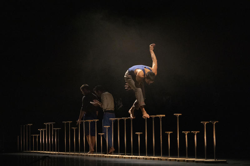 Saison culturelle - le Complexe de l’Autruche - Collectif d’équilibristes