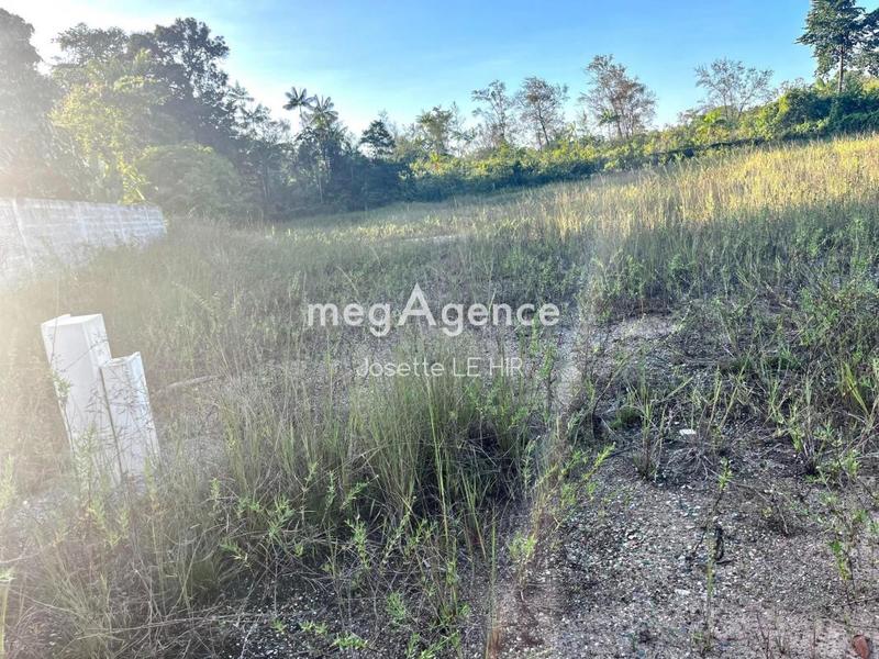 Terrain constructible - 4 000 m²