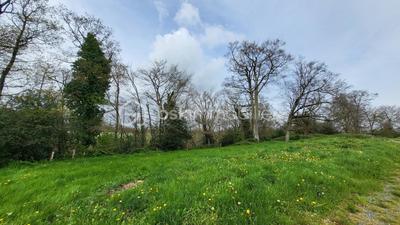 Terrain de loisirs - 24 000 m²