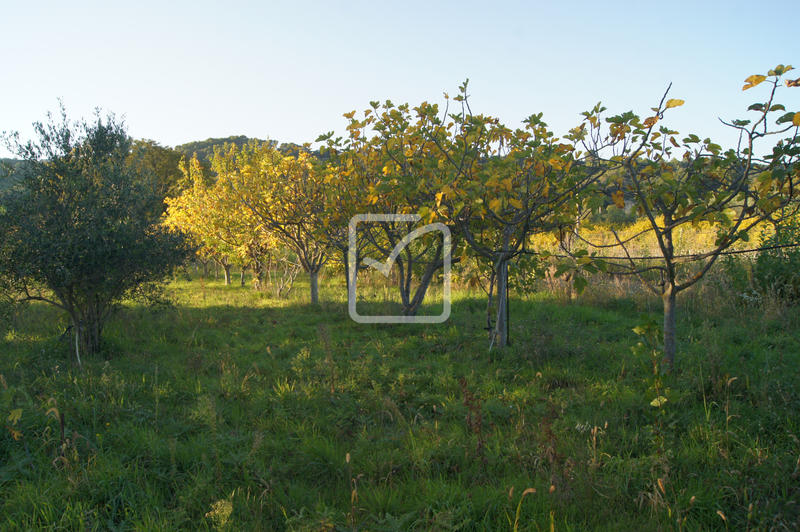 Terrain agricole - 5 359 m²