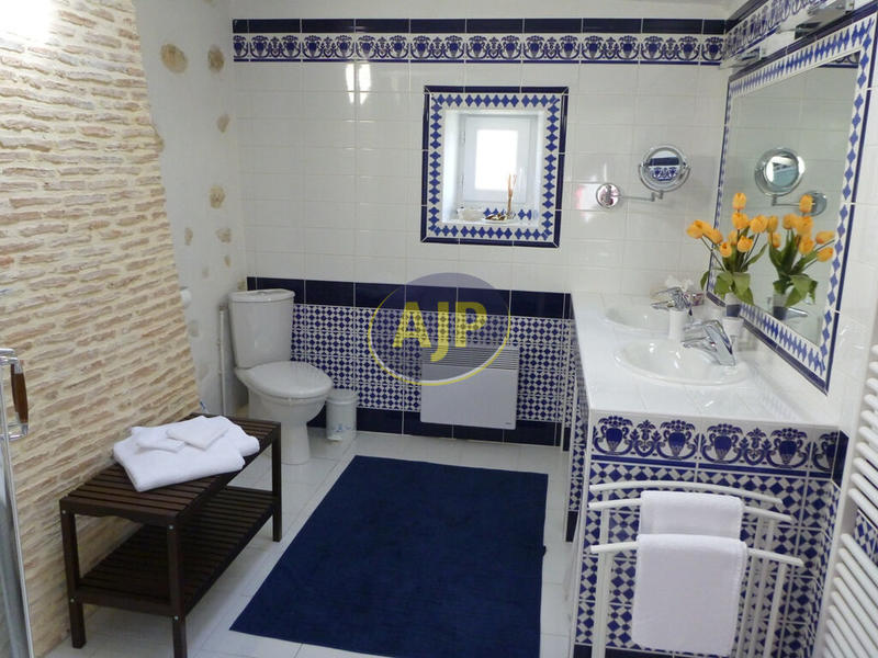 Maison - 540 m² - 15 pièces